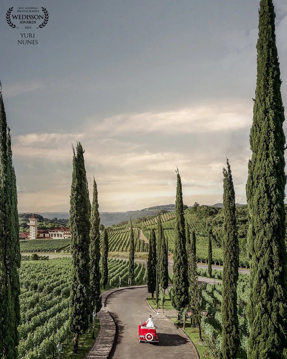 Foto premiada — Vale dos Vinhedos